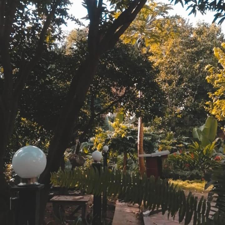 Mi Refugio Tayrona Hotel Santa Marta  Esterno foto